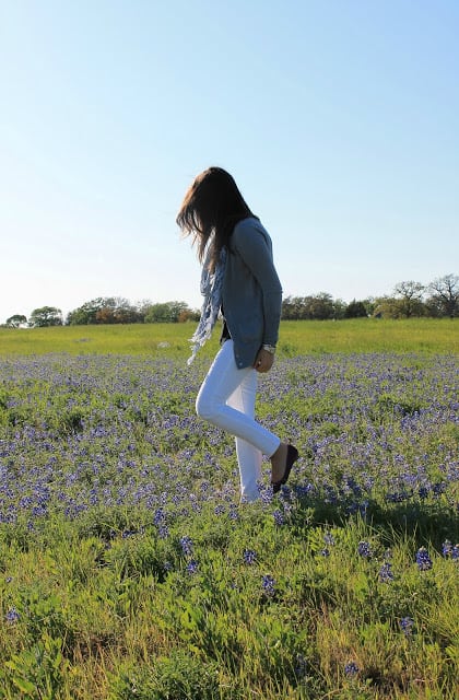 Texas Hill Country Bluebonnet Fields