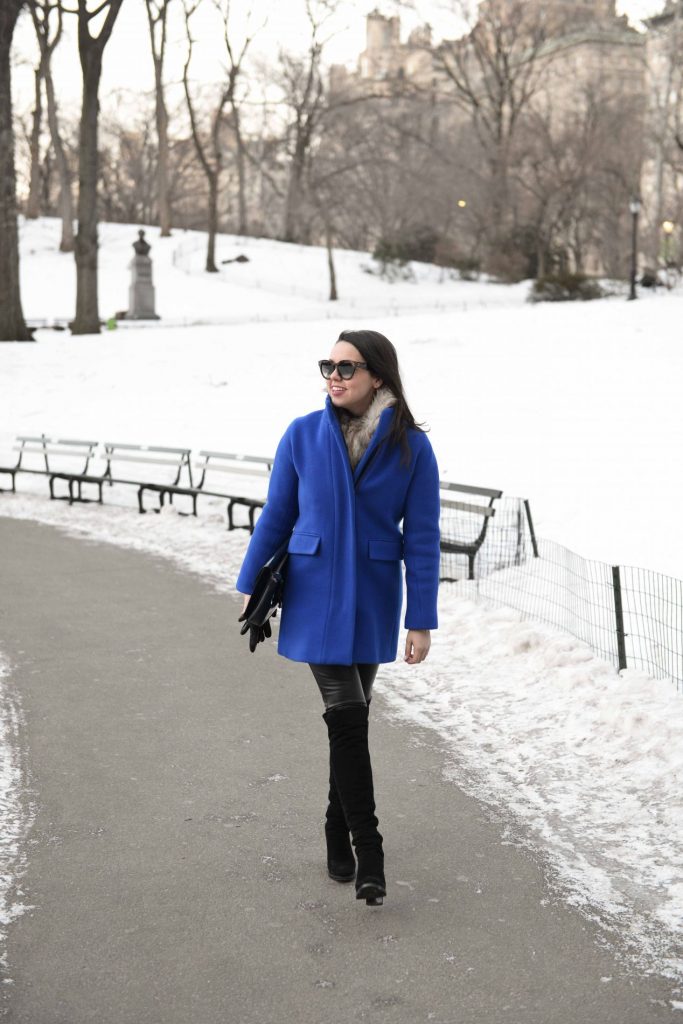 Cobalt Blue Coat in Central Park