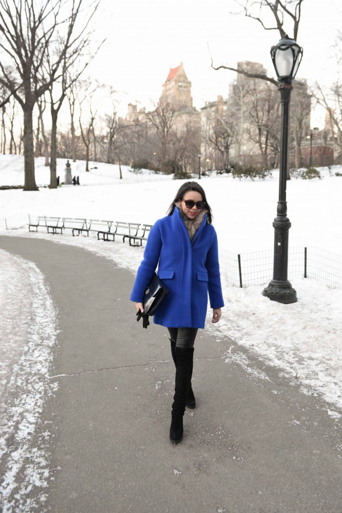 Cobalt Blue Coat in Central Park