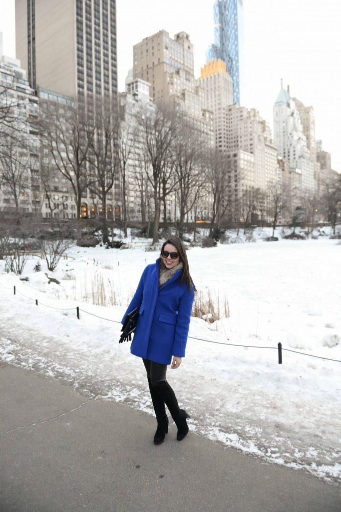 Cobalt Blue Coat in Central Park