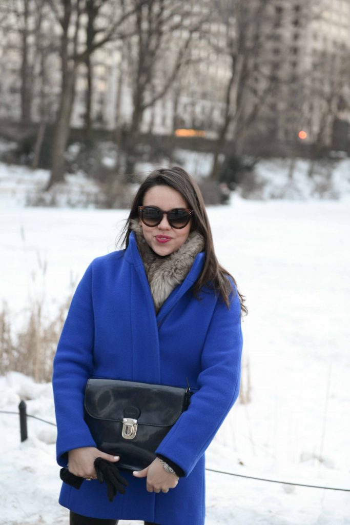 Cobalt Blue Coat in Central Park