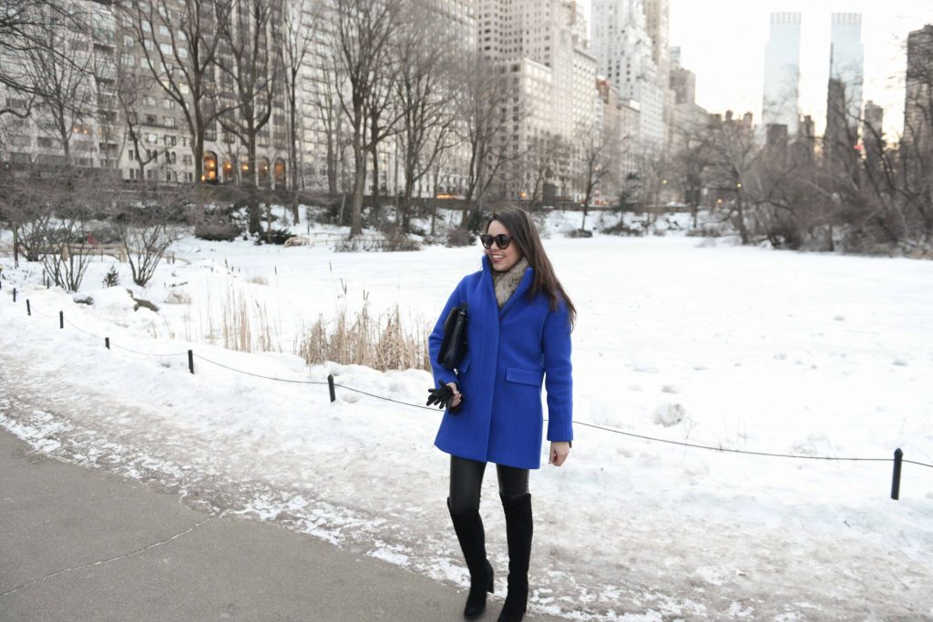 Cobalt Blue Coat in Central ParkCobalt Blue Coat in Central Park