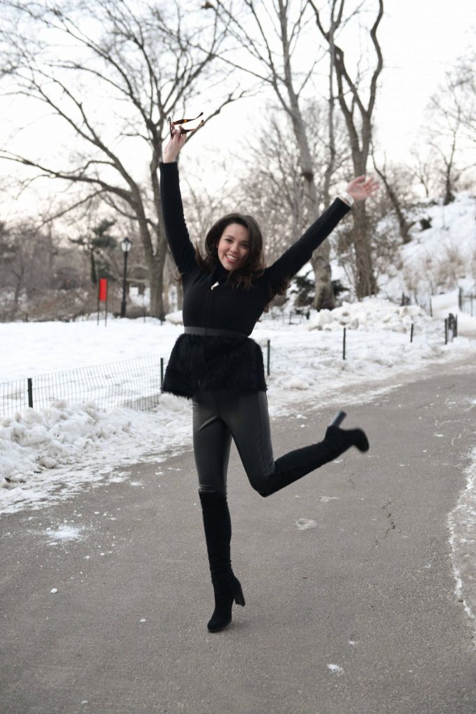Snow Day at Central Park