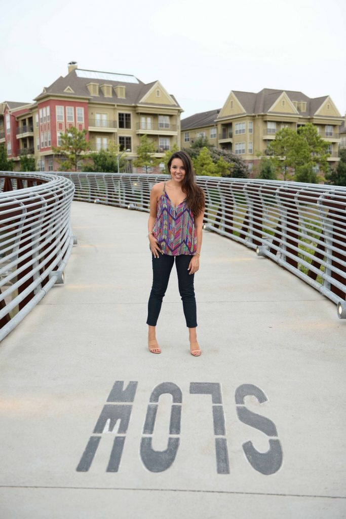 Eleanor Tinsley bridge - Houston Texas