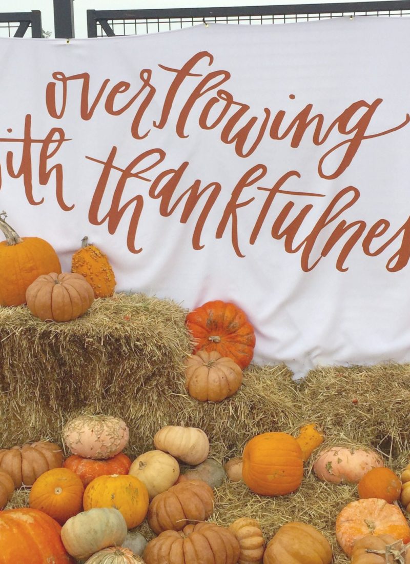 Thanksgiving Day Sales 2015