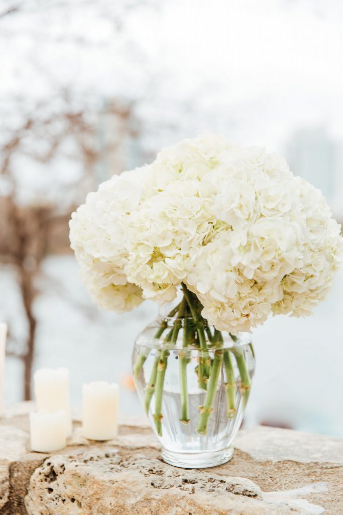 White hydrangeas