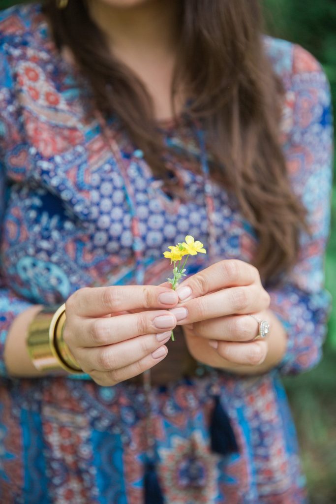 yellow wildflowers