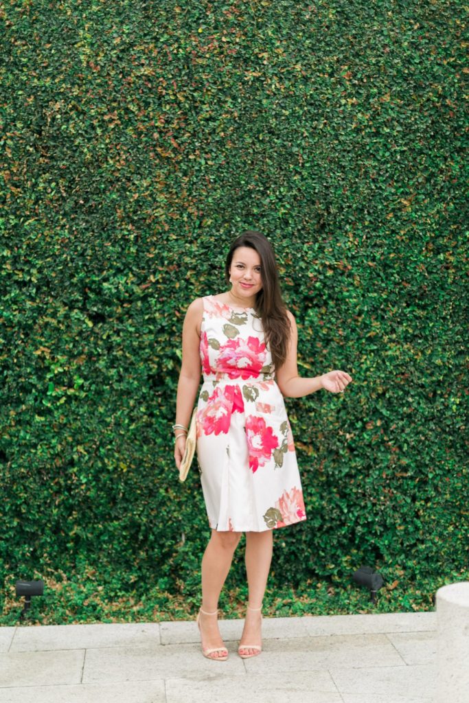 Madelyn Fit and Flare | Donna Morgan