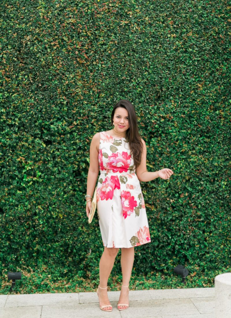 Madelyn Fit and Flare | Donna Morgan