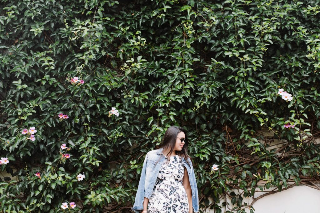 ivy wall and floral printed dress
