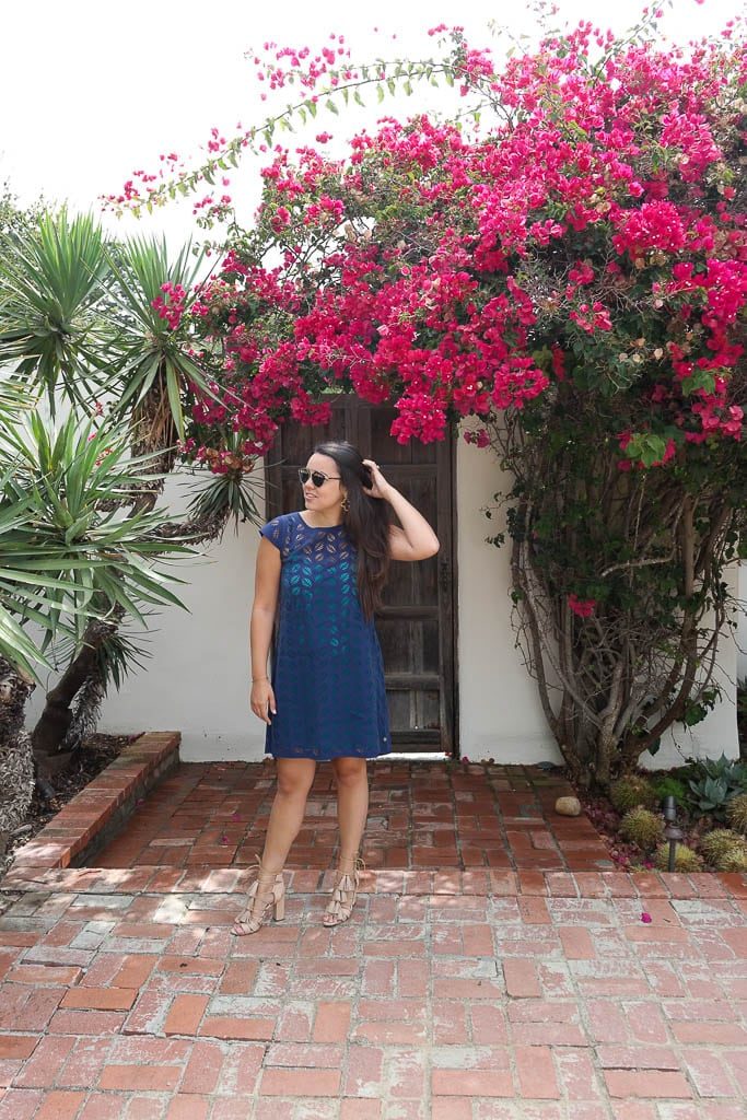 hot pink bougainvillea