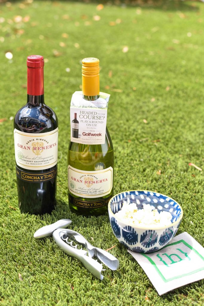 Gran Reserva Wine | Chilean wines | Best wines for summer