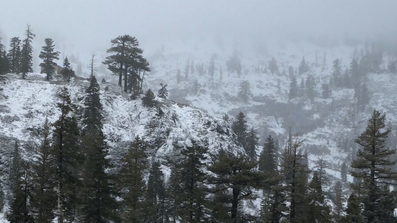 winter weather picks - Girl Wonder Life