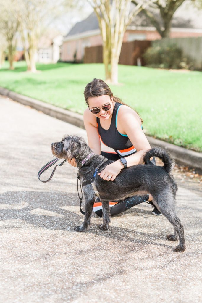 Working out with your dog