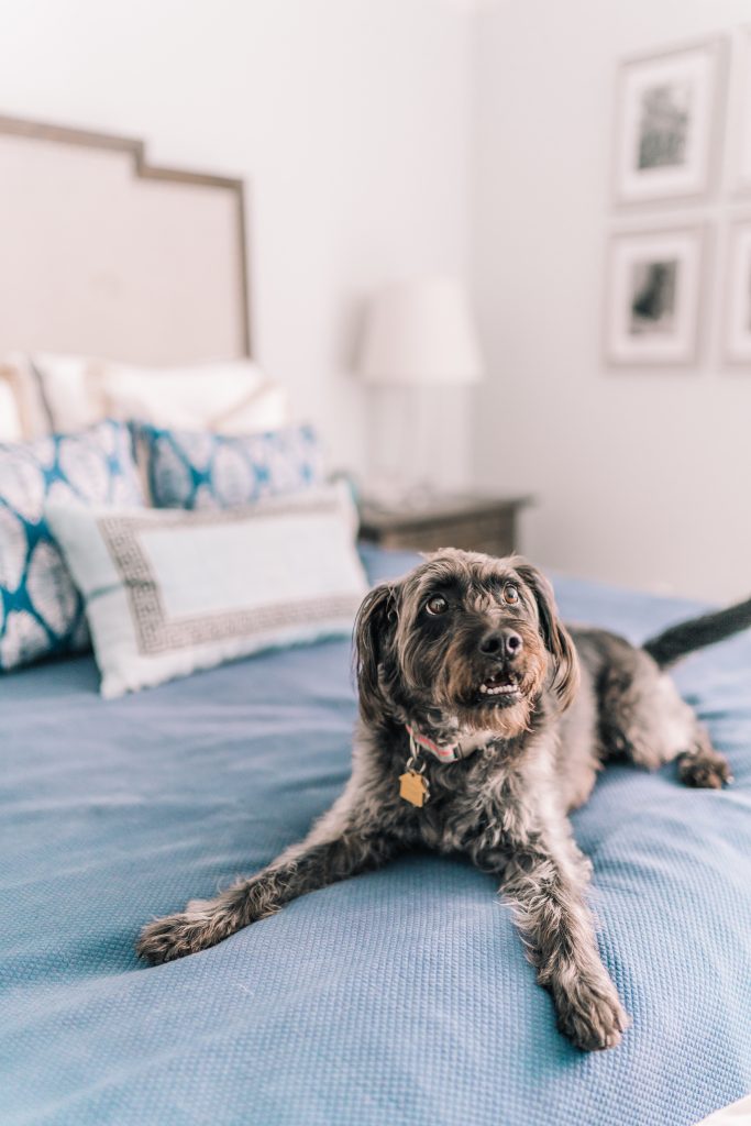 Budget-friendly master bedroom updates | Girl Wonder Life