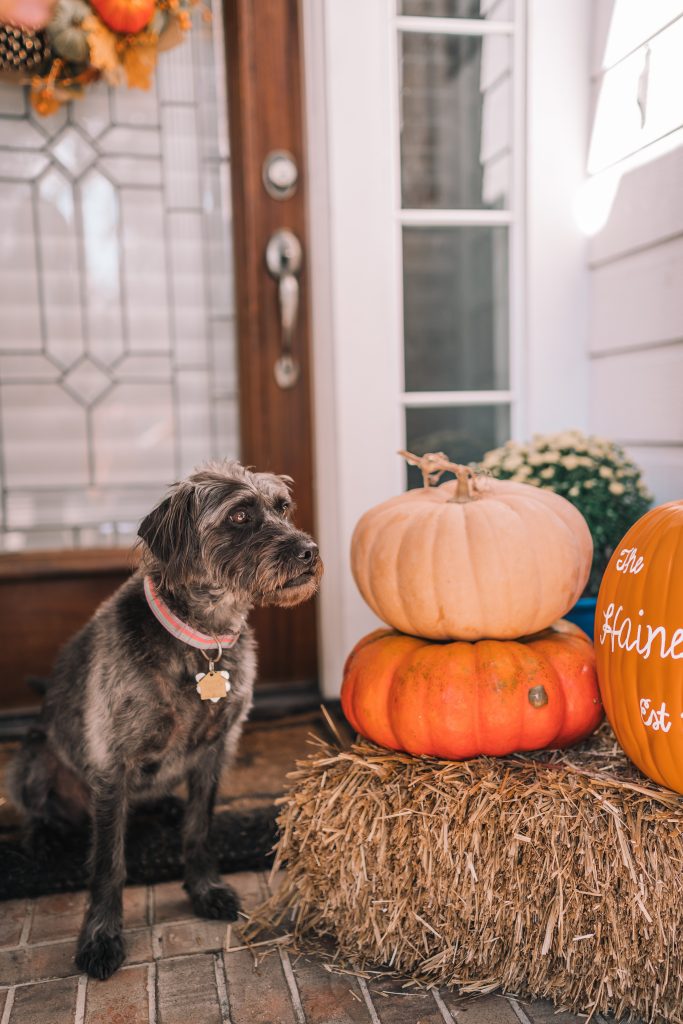 Easy and budget-friendly fall porch styling ideas