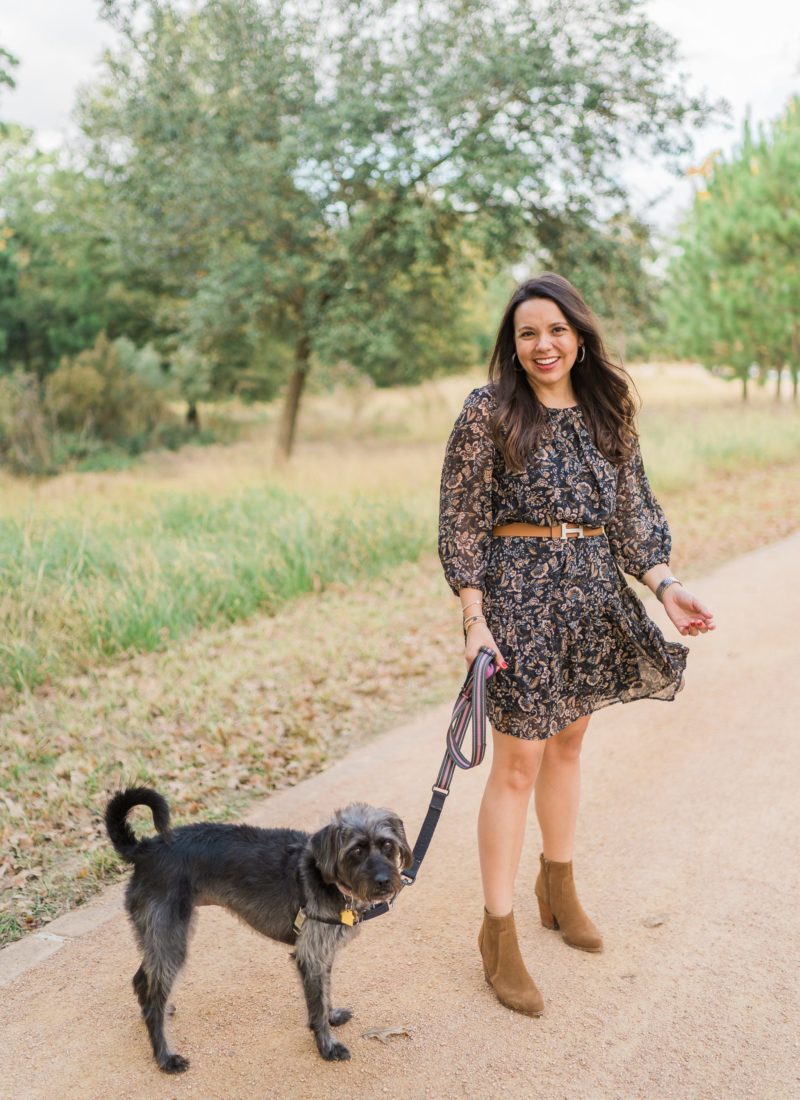 Belted Chiffon Printed Dress