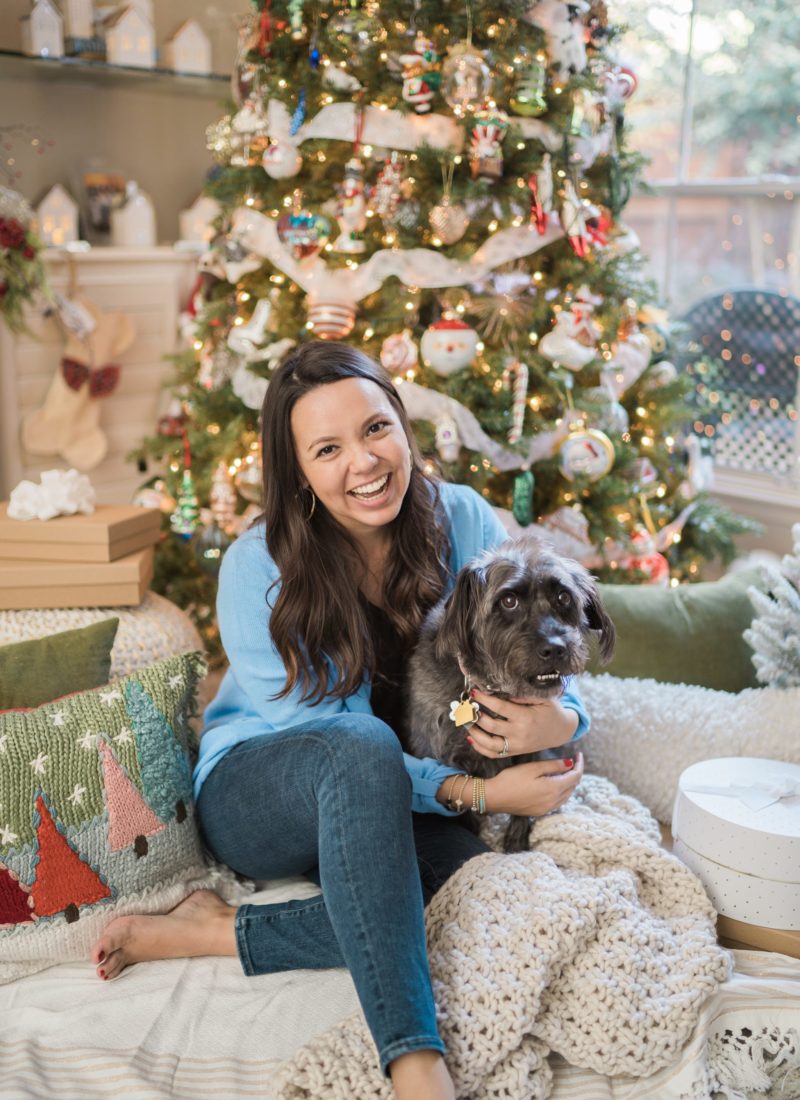 3 Ways to Include your Pup in Holiday Festivities