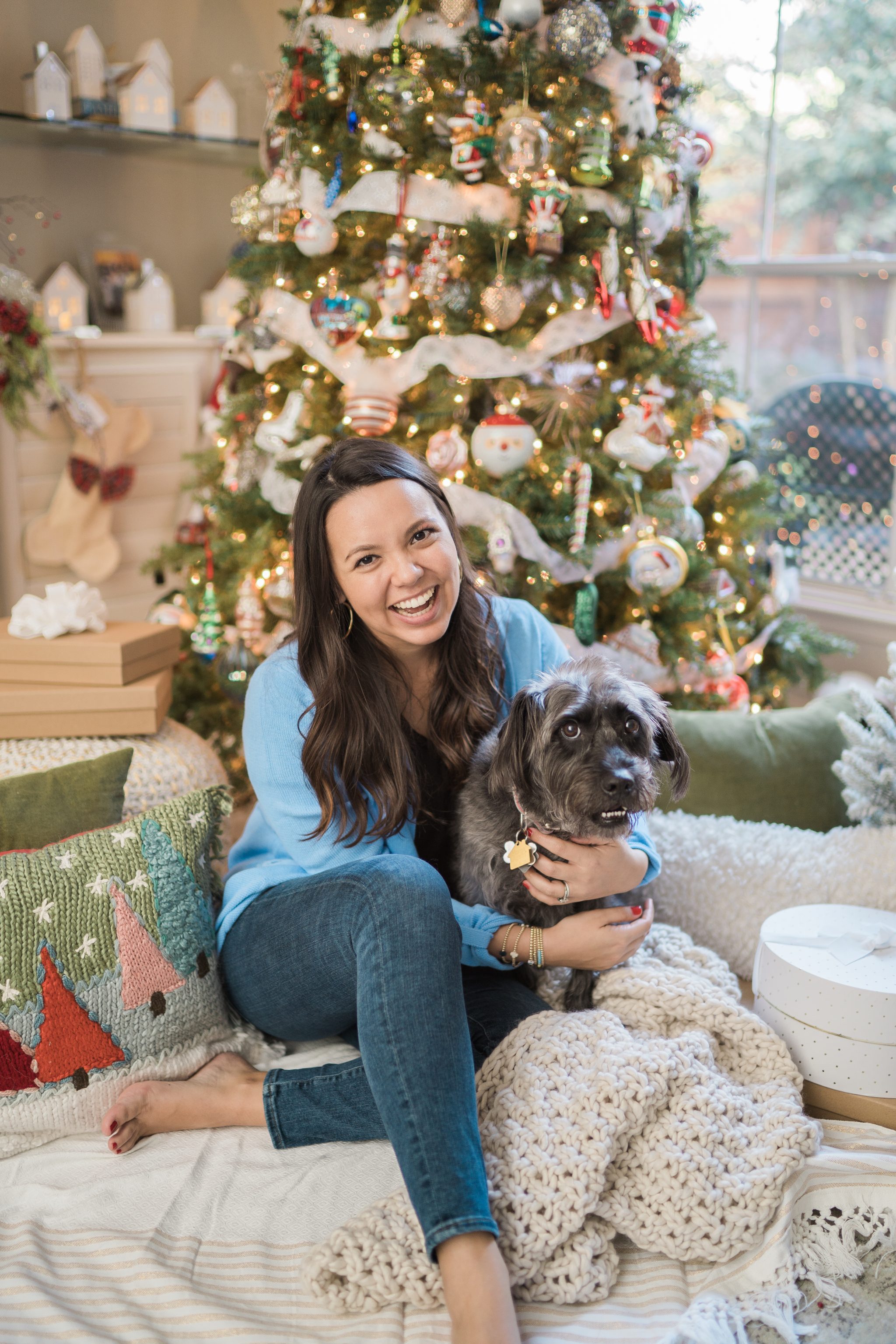 celebrating the holidays with your family dog