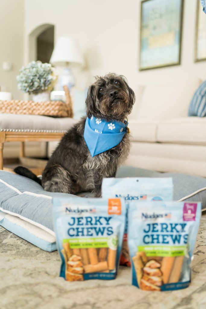 Nudges Jerky chew treats for dogs