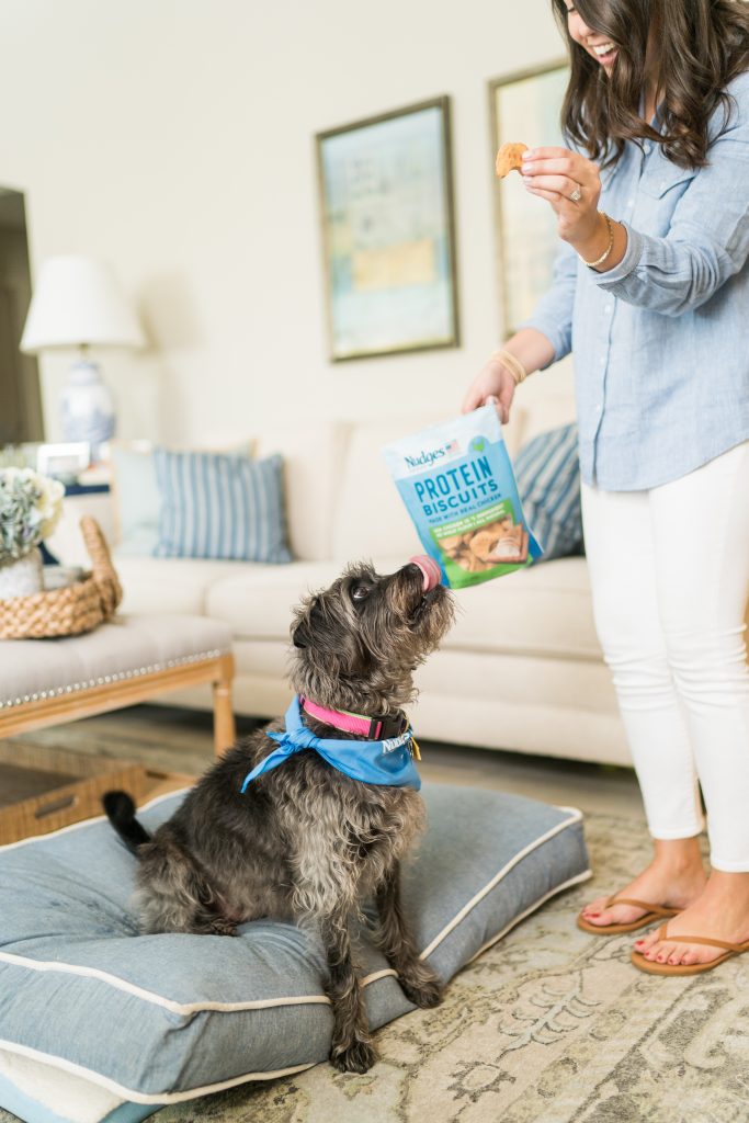 Nudges Protein treats for dogs
