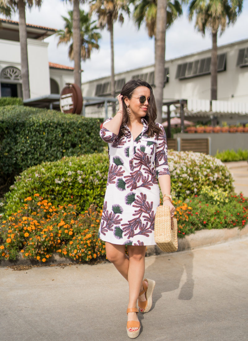 Printed A-Line Shirtdress