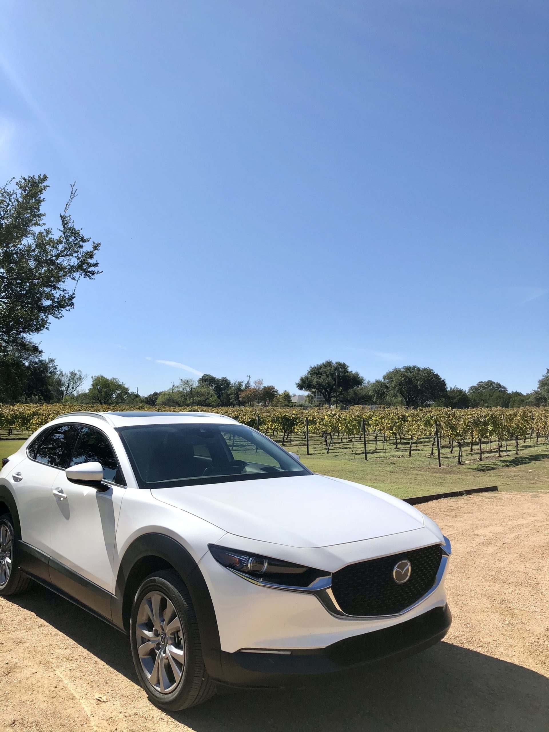 Hill Country Vineyards outside of Austin 