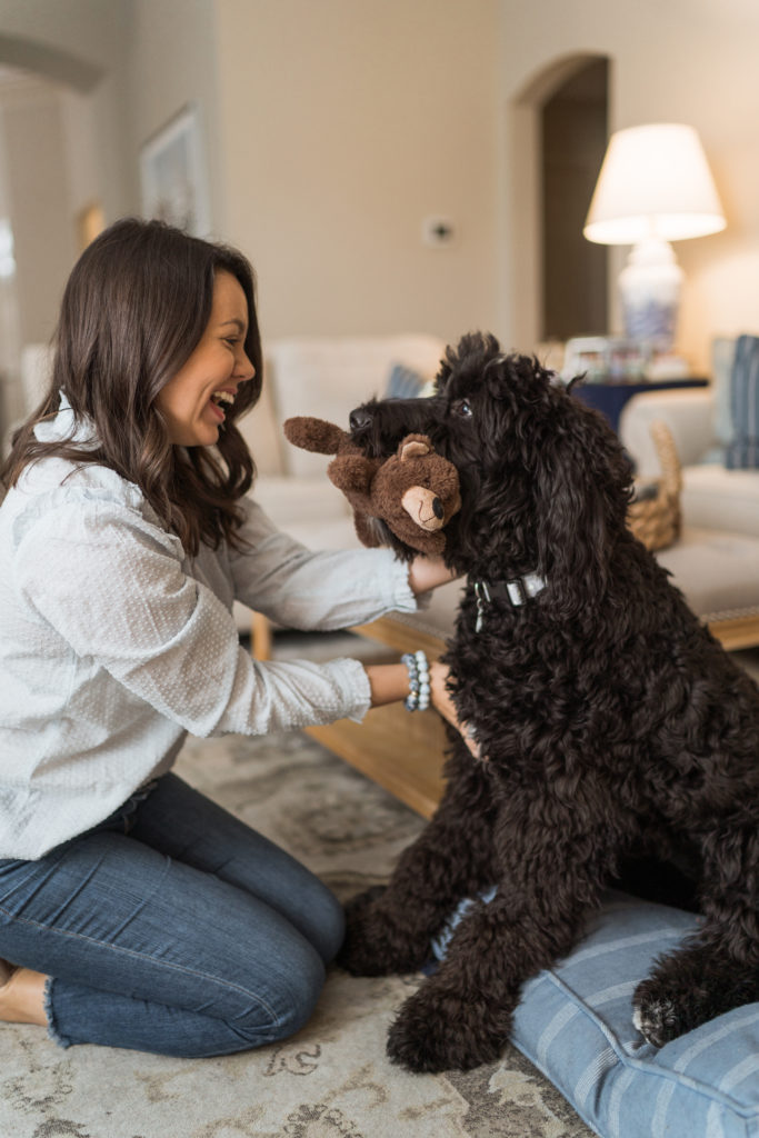 One year with Sadie | Girl Wonder Life